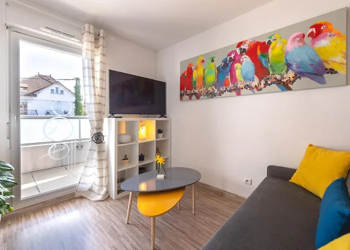 Studio Cosy Les Perruches