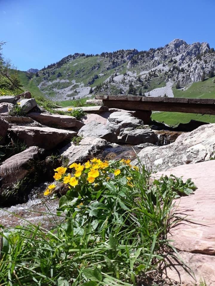 Cosy Les Perruches